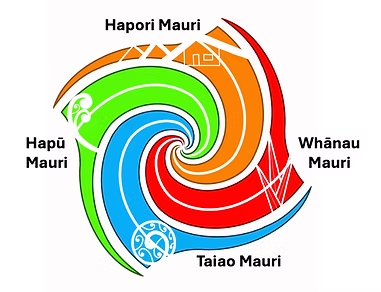 The Mauri Model | Mahi Maioro Professionals